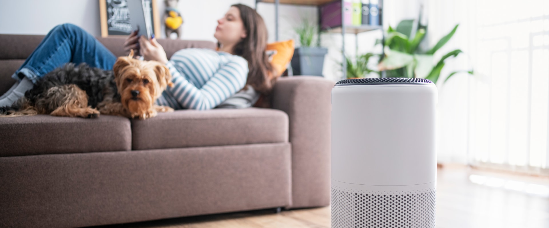 The Best Air Purifier for Allergies and Asthma