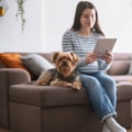 The Best Air Filter for Allergy Sufferers