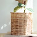 Do Allergen Air Filters Really Work?