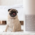 Everything You Need to Know About AC Air Filters For Home