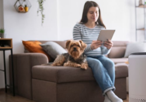 The Best Air Filter for Allergy Sufferers