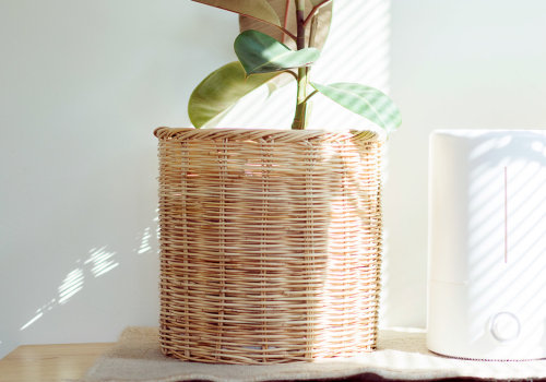 Do Allergen Air Filters Really Work?