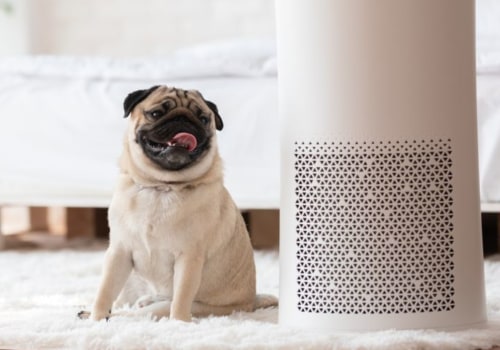 Everything You Need to Know About AC Air Filters For Home