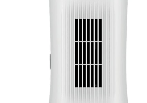 Do Air Purifiers Really Filter Out Allergens?
