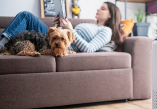 The Best Air Purifier for Allergies and Asthma